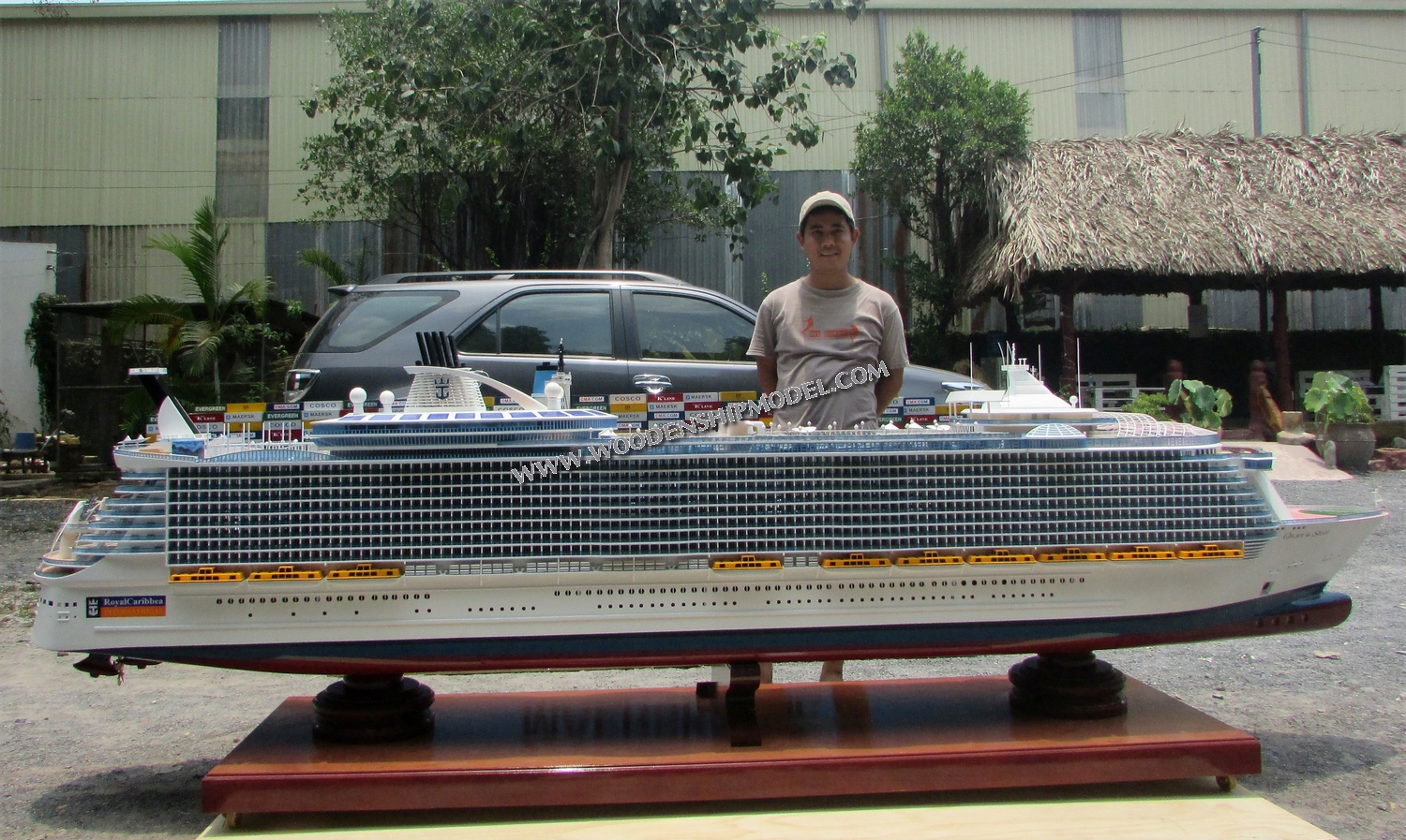 Oasis of the Seas Model Ship with Lights