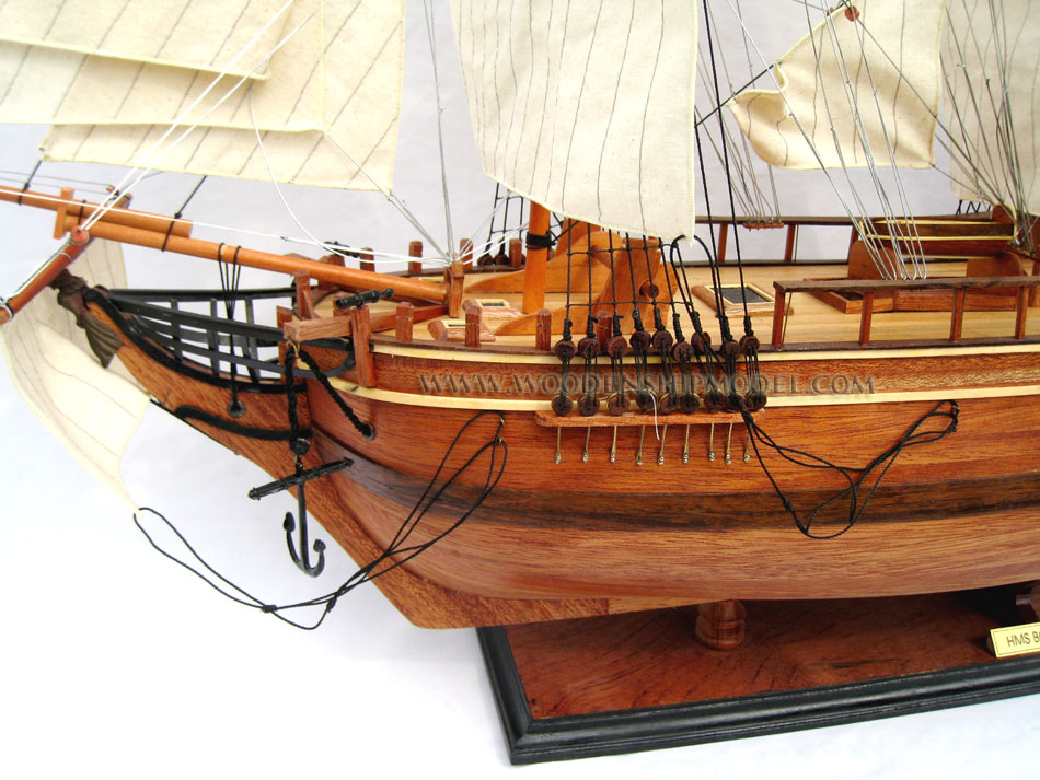 Model Ship HMS Bounty Bow, bounty; the bounty; hms bounty; tall ship; the bounty ship; bounty ship; hms; tallship; bounty hms; bounty ii; Captain Bligh HMS Bounty, wooden model ship bounty, ship model bounty open hull, open hull ship model bounty, quality model ship bounty, woodenshipmodel bounty, HMAV Bounty ship model, HMS Bounty historic ship, HMS Bounty tall ship, HMS Bounty wooden model ship, HMS Bounty model historic ship, model historic ship HMS Bounty, model British ship HMS Bounty