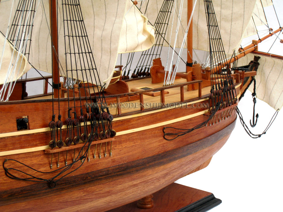 HMS Bounty Ship Model, bounty; the bounty; hms bounty; tall ship; the bounty ship; bounty ship; hms; tallship; bounty hms; bounty ii; Captain Bligh HMS Bounty, wooden model ship bounty, ship model bounty open hull, open hull ship model bounty, quality model ship bounty, woodenshipmodel bounty, HMAV Bounty ship model, HMS Bounty historic ship, HMS Bounty tall ship, HMS Bounty wooden model ship, HMS Bounty model historic ship, model historic ship HMS Bounty, model British ship HMS Bounty