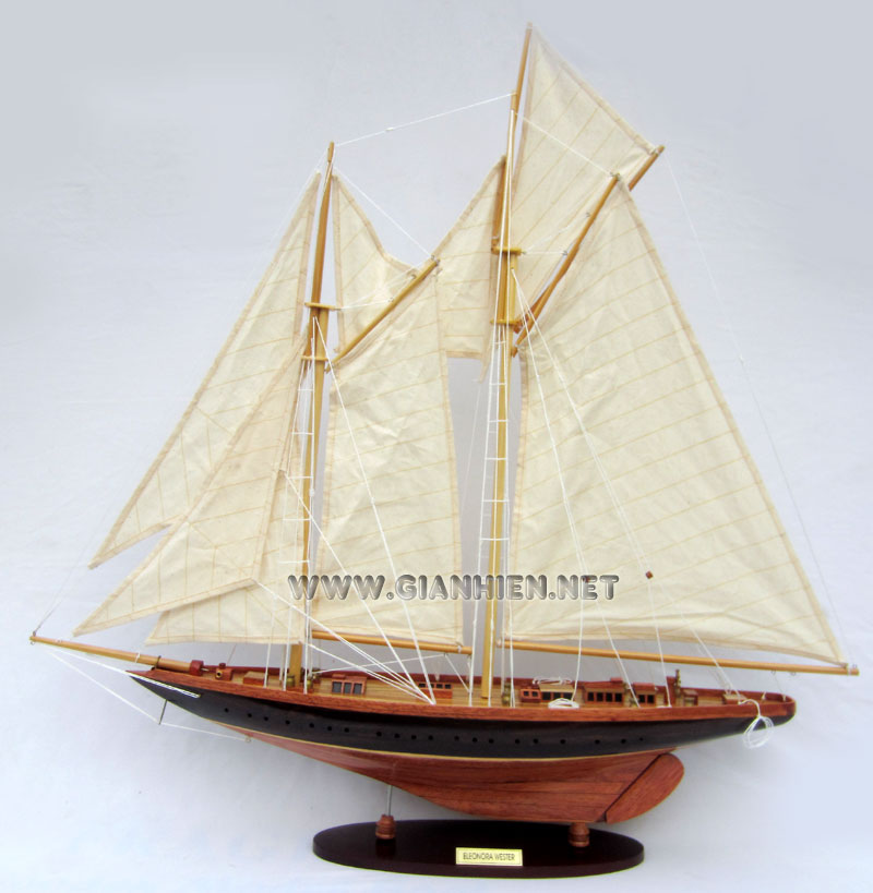 Eleonora Westward model