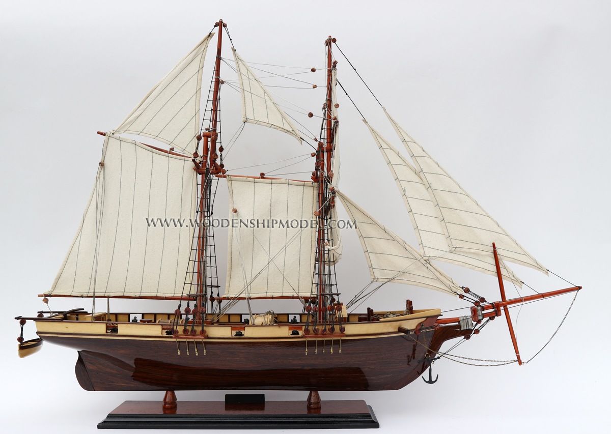 Harvey model ship