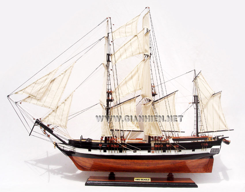 HMS Beagle Ship Model, HMS Beagle, HMS Beagle tall ship, HMS Beagle historic ship, HMS Beagle British ship, HMS Beagle wooden model ship handicraft, model historic ship HMS Beagle, wooden tall ship HMS Beagle, wooden model Bristish ship HMS Beagle, HMS Beagle ship model, Sedov model ship, handcrafted Sedov ship, Scale model HMS Beagle model ship, display model ship HMS Beagle, wooden ship model HMS Beagle, quality model ship HMS Beagle, tall ship model HMS Beagle, training ship model HMS Beagle, tall ship racing HMS Beagle model, wooden model ship HMS Beagle, handmade HMS Beagle ship, scratch build ship model HMS Beagle