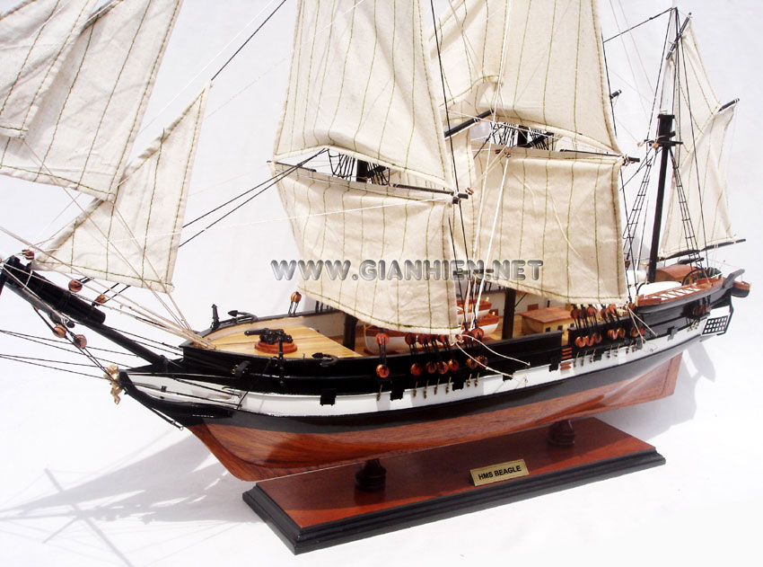 Model Ship HMS Beagle, HMS Beagle, HMS Beagle tall ship, HMS Beagle historic ship, HMS Beagle British ship, HMS Beagle wooden model ship handicraft, model historic ship HMS Beagle, wooden tall ship HMS Beagle, wooden model Bristish ship HMS Beagle, HMS Beagle ship model, Sedov model ship, handcrafted Sedov ship, Scale model HMS Beagle model ship, display model ship HMS Beagle, wooden ship model HMS Beagle, quality model ship HMS Beagle, tall ship model HMS Beagle, training ship model HMS Beagle, tall ship racing HMS Beagle model, wooden model ship HMS Beagle, handmade HMS Beagle ship, scratch build ship model HMS Beagle