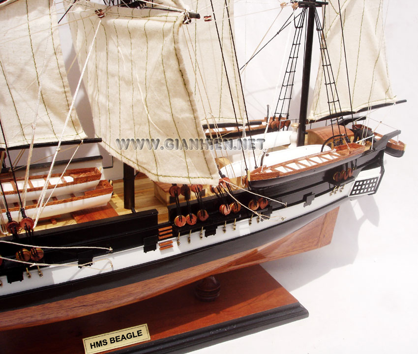 Wooden Model Ship HMS Beagle, HMS Beagle, HMS Beagle tall ship, HMS Beagle historic ship, HMS Beagle British ship, HMS Beagle wooden model ship handicraft, model historic ship HMS Beagle, wooden tall ship HMS Beagle, wooden model Bristish ship HMS Beagle, HMS Beagle ship model, Sedov model ship, handcrafted Sedov ship, Scale model HMS Beagle model ship, display model ship HMS Beagle, wooden ship model HMS Beagle, quality model ship HMS Beagle, tall ship model HMS Beagle, training ship model HMS Beagle, tall ship racing HMS Beagle model, wooden model ship HMS Beagle, handmade HMS Beagle ship, scratch build ship model HMS Beagle