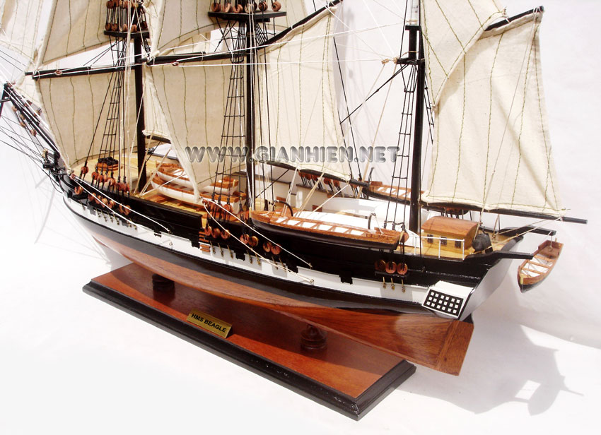 Wooden Model Ship Beagle, HMS Beagle, HMS Beagle tall ship, HMS Beagle historic ship, HMS Beagle British ship, HMS Beagle wooden model ship handicraft, model historic ship HMS Beagle, wooden tall ship HMS Beagle, wooden model Bristish ship HMS Beagle, HMS Beagle ship model, Sedov model ship, handcrafted Sedov ship, Scale model HMS Beagle model ship, display model ship HMS Beagle, wooden ship model HMS Beagle, quality model ship HMS Beagle, tall ship model HMS Beagle, training ship model HMS Beagle, tall ship racing HMS Beagle model, wooden model ship HMS Beagle, handmade HMS Beagle ship, scratch build ship model HMS Beagle