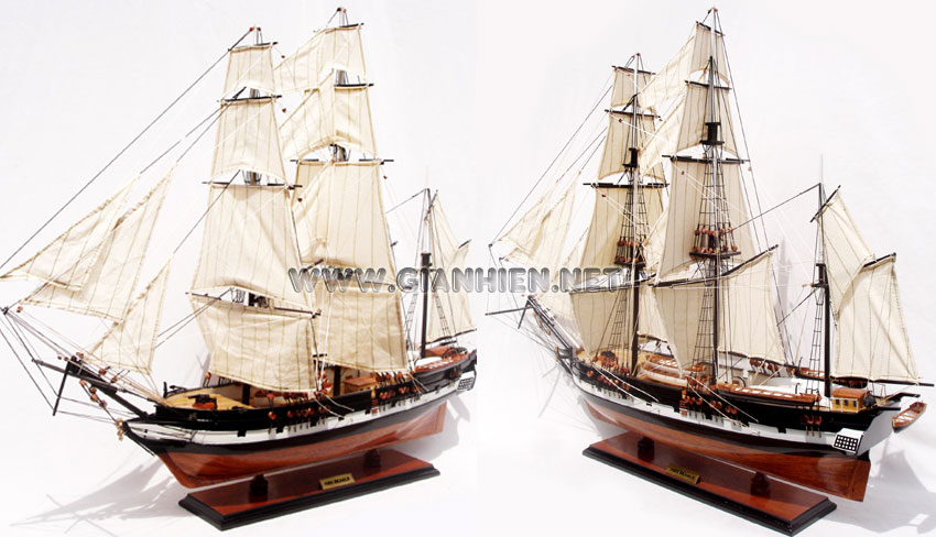 Quality Wooden Model Ship, HMS Beagle, HMS Beagle tall ship, HMS Beagle historic ship, HMS Beagle British ship, HMS Beagle wooden model ship handicraft, model historic ship HMS Beagle, wooden tall ship HMS Beagle, wooden model Bristish ship HMS Beagle, HMS Beagle ship model, Sedov model ship, handcrafted Sedov ship, Scale model HMS Beagle model ship, display model ship HMS Beagle, wooden ship model HMS Beagle, quality model ship HMS Beagle, tall ship model HMS Beagle, training ship model HMS Beagle, tall ship racing HMS Beagle model, wooden model ship HMS Beagle, handmade HMS Beagle ship, scratch build ship model HMS Beagle