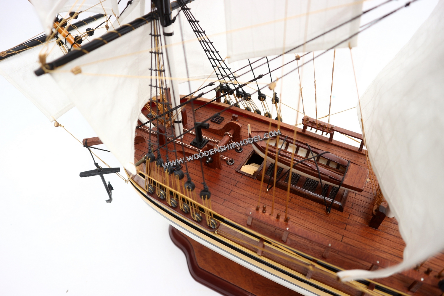 bounty; the bounty; hms bounty; tall ship; the bounty ship; bounty ship; hms; tallship; bounty hms; bounty ii; Captain Bligh HMS Bounty, wooden model ship bounty, ship model bounty open hull, open hull ship model bounty, quality model ship bounty, woodenshipmodel bounty, HMAV Bounty ship model, HMS Bounty historic ship, HMS Bounty tall ship, HMS Bounty wooden model ship, HMS Bounty model historic ship, model historic ship HMS Bounty, model British ship HMS Bounty